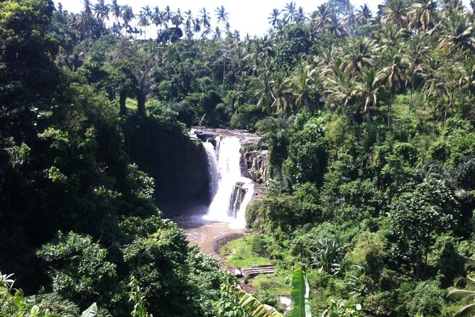 Wonderful Of Ubud Tours - Stop 3: Goa Gajah (Elephant Cave) Temple site