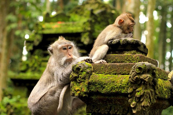 Wonderful Of Ubud Tours - Stop 8: Tegenungan Waterfall and the two-hour window